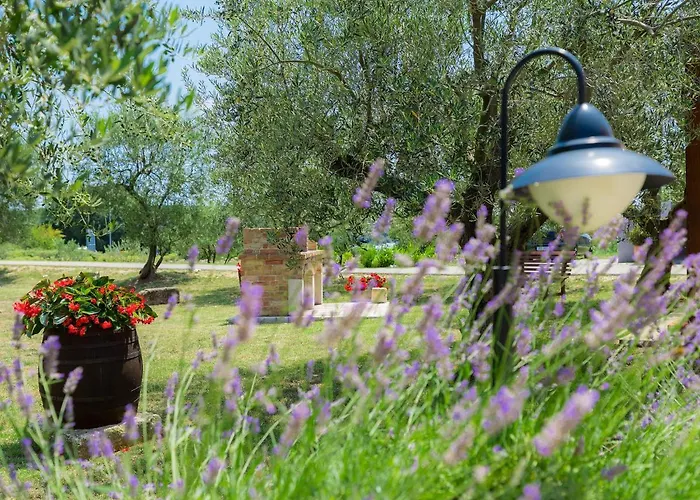 Διαμέρισμα Sani-2 By Interhome Pjescana Uvala